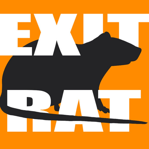 Getting Out of The Rat Race - Exit Rat Introduction